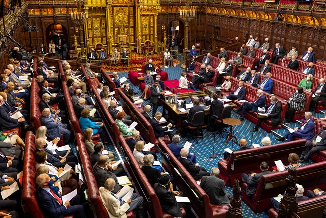 BRITISH POLITICAL SYSTEM 6 recess roundup image